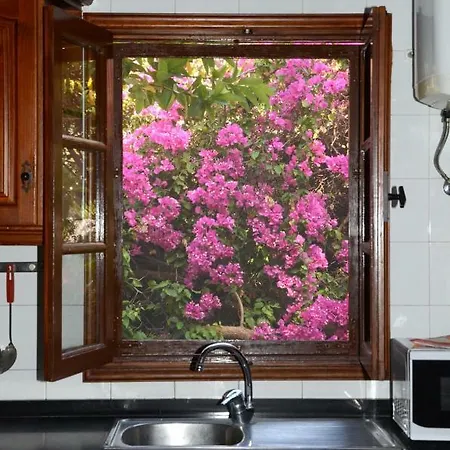 Casa Rosas Del Agua * San Sebastián de la Gomera